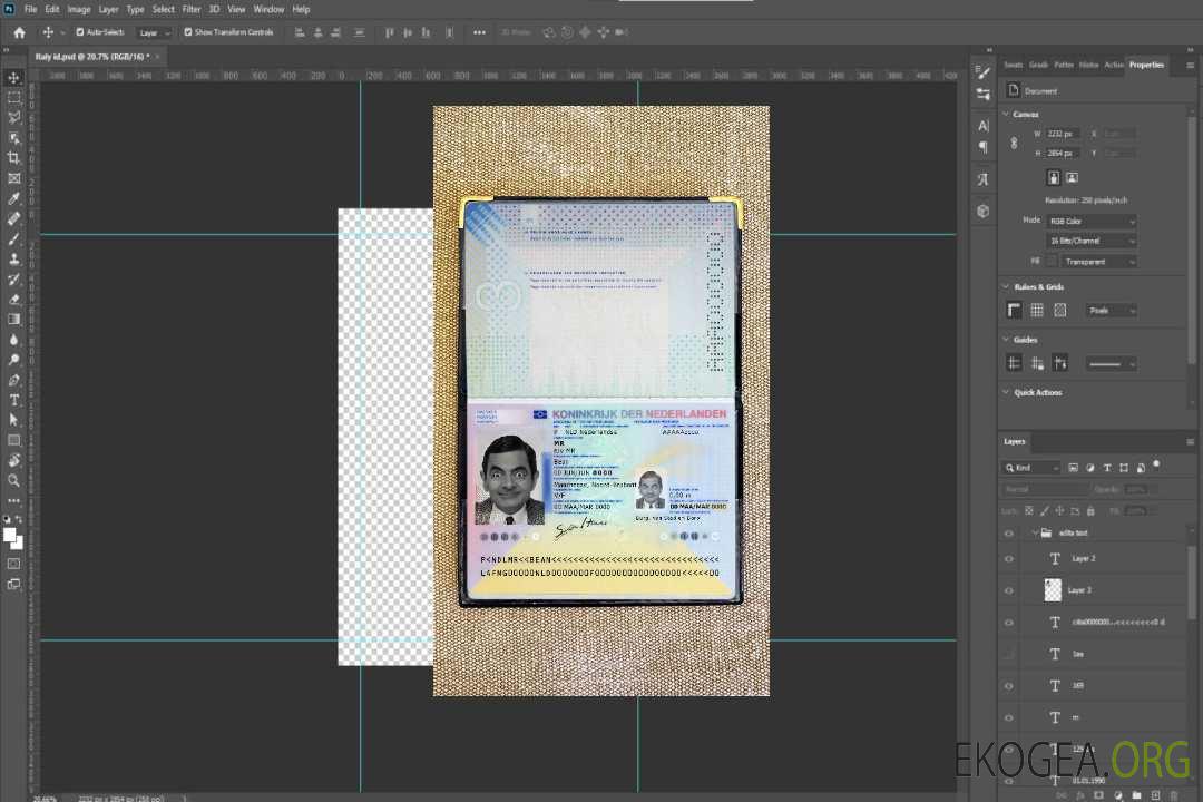Look photo du passeport néerlandais (2014-présent) template